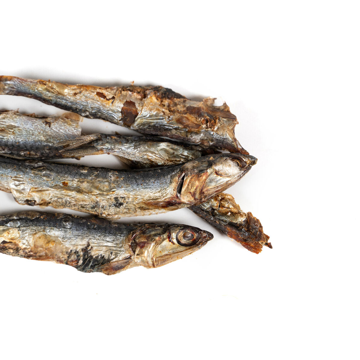 Snackys Nassfutter Snackys Fisch