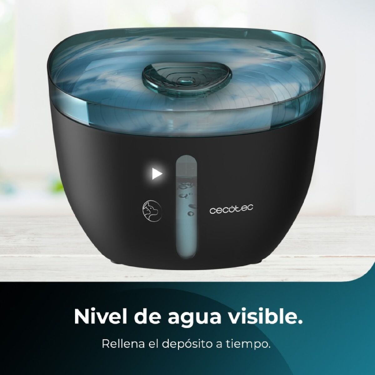 Cecotec Trinkbrunnen Für Haustiere Cecotec Schwarz Schwarz/Blau Kunststoff