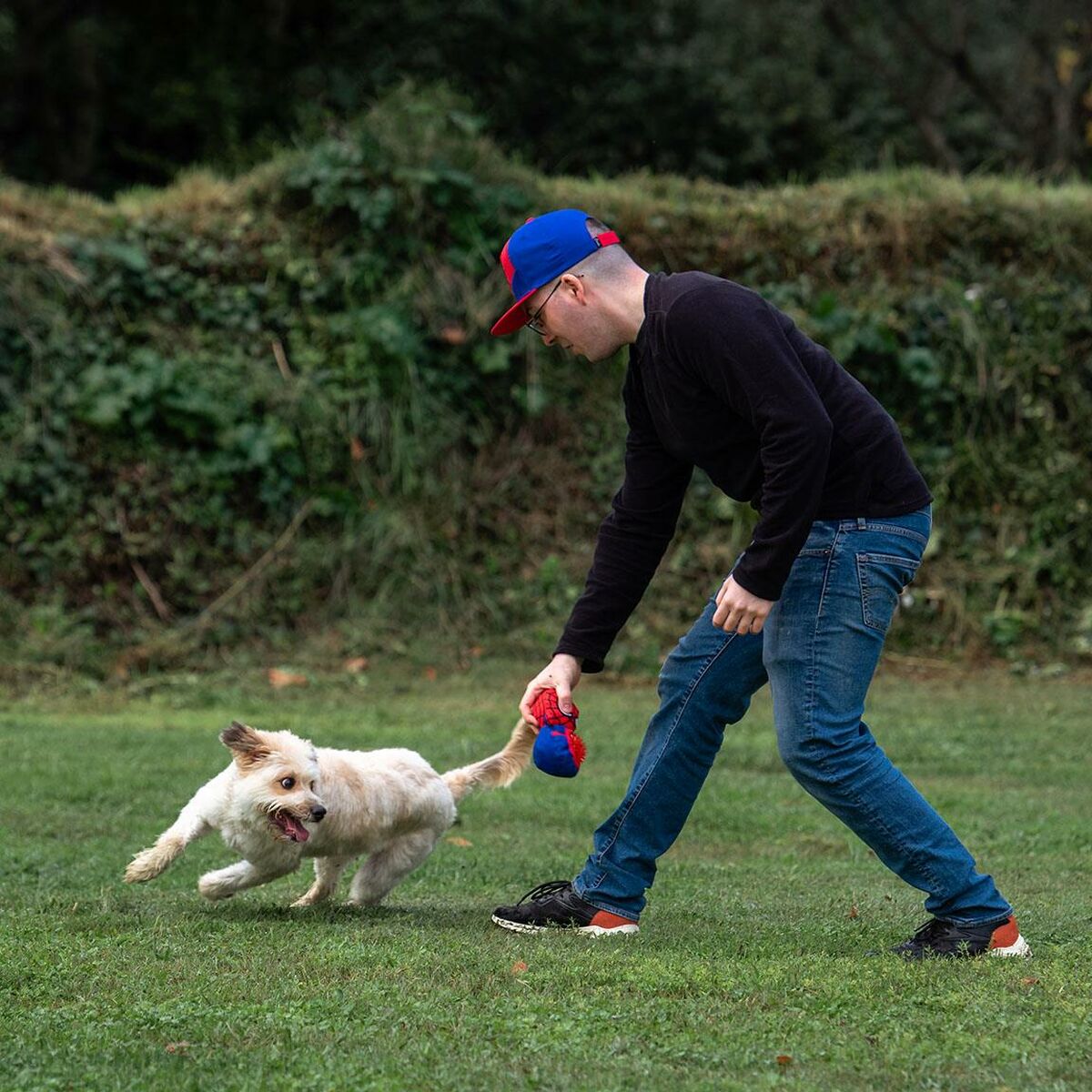 Spider-Man Hundespielzeug Spider-Man Rot