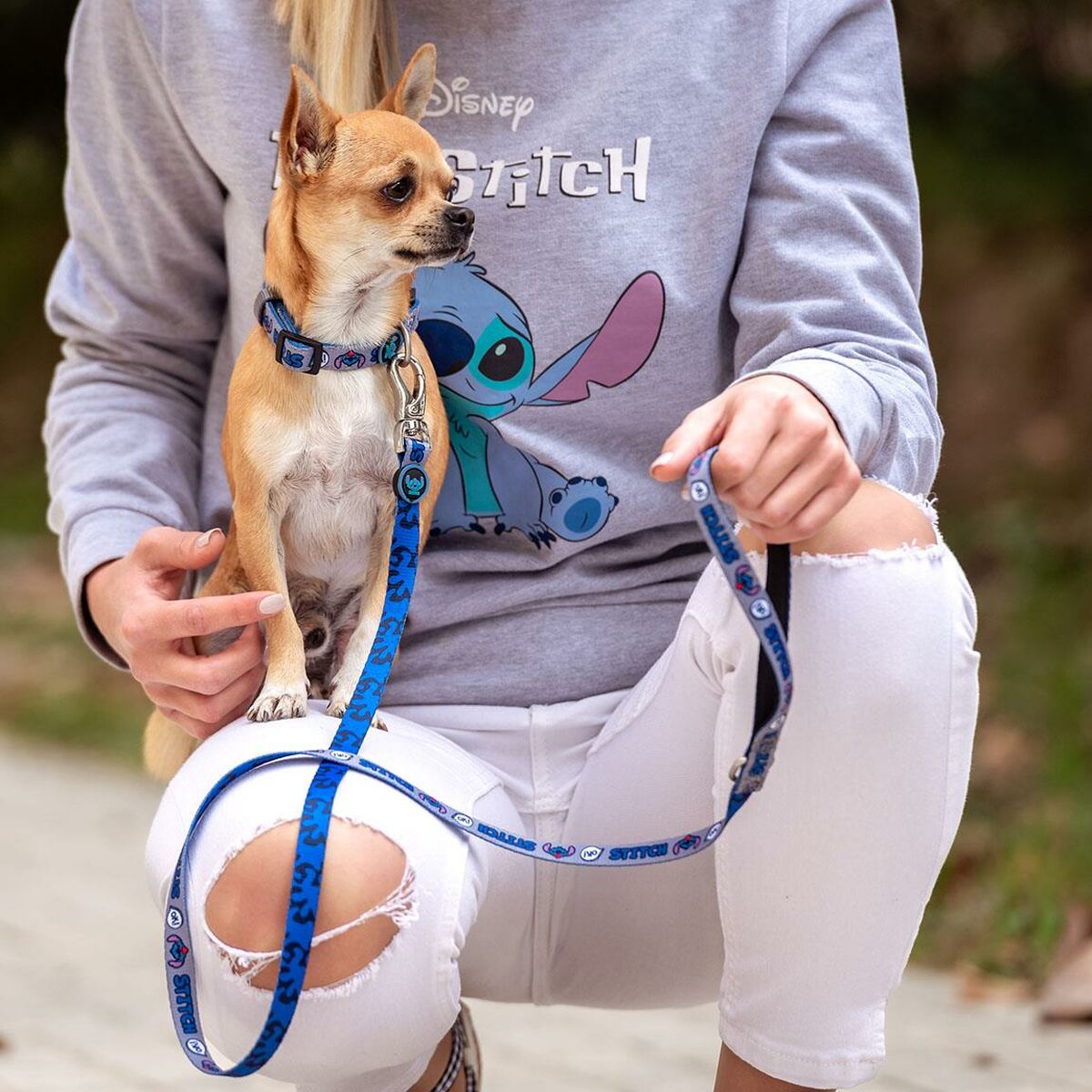 Stitch Hundehalsband Stitch
