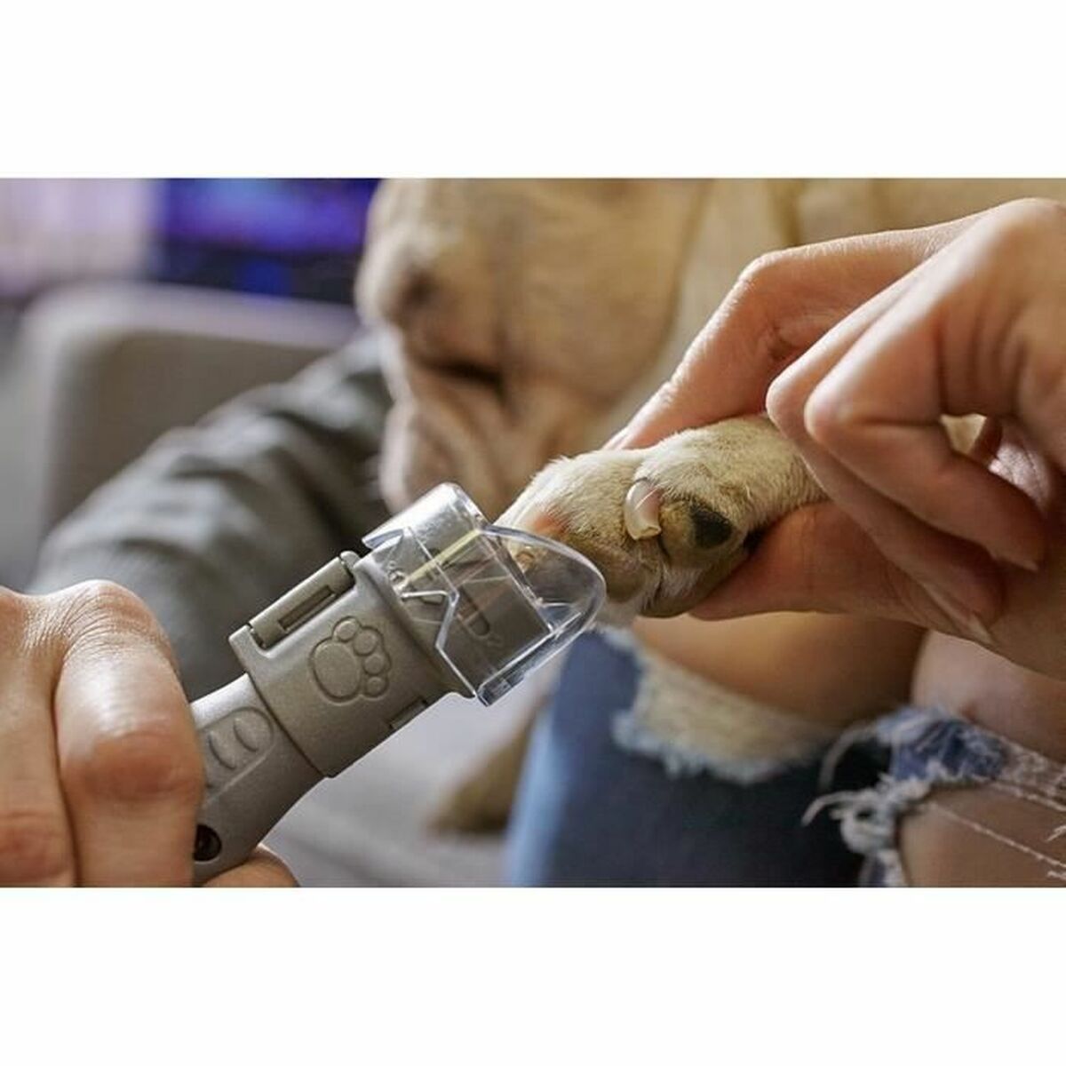 Dremel Elektrische Nagelfeile Für Haustiere Dremel 7020-Pgk