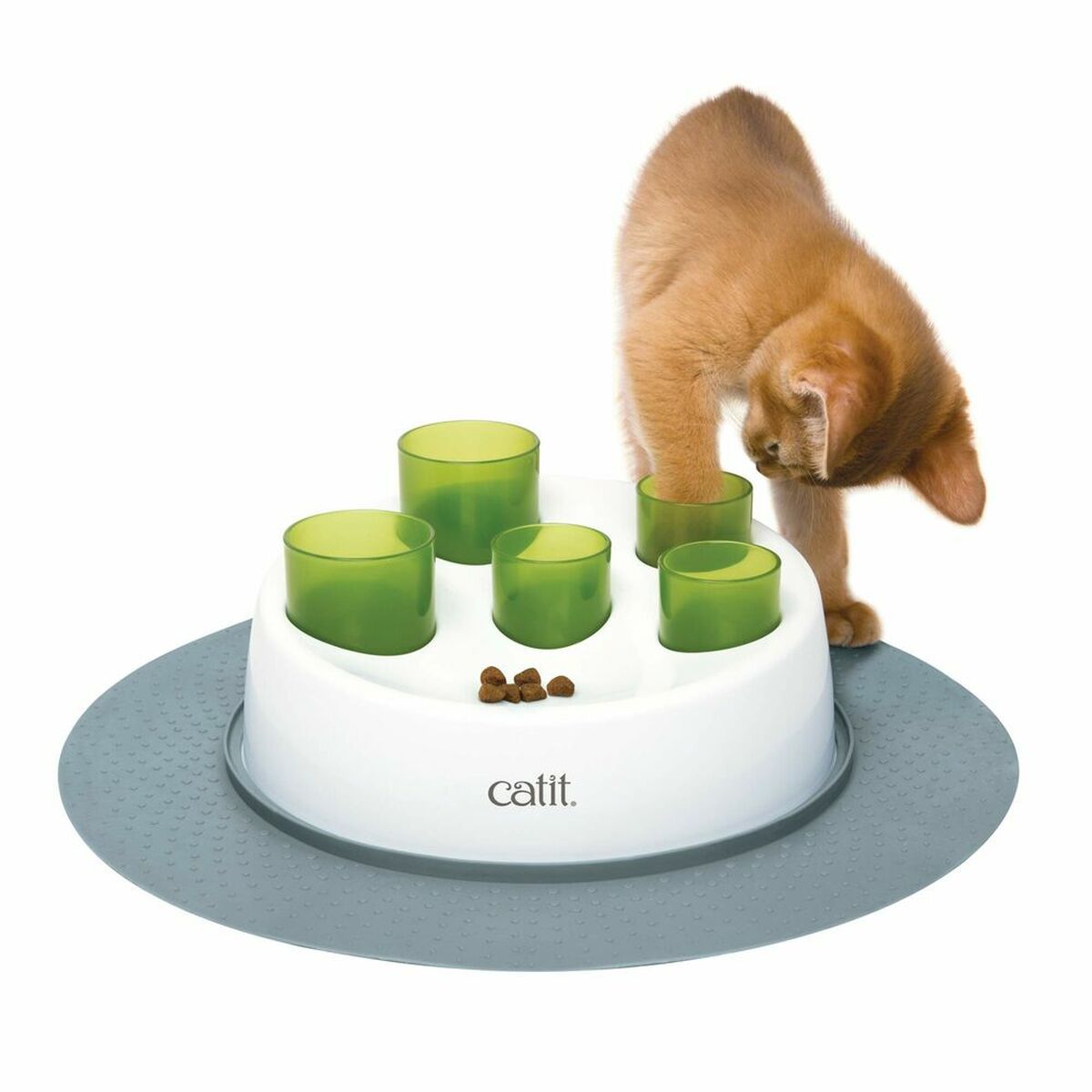 Catit Katzenspielzeug Catit Grün