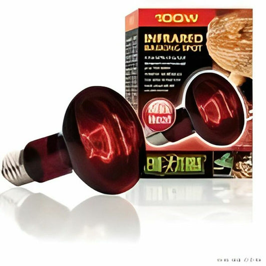 Exo Terra Infrarot-Wärmesystem Exo Terra 100 W