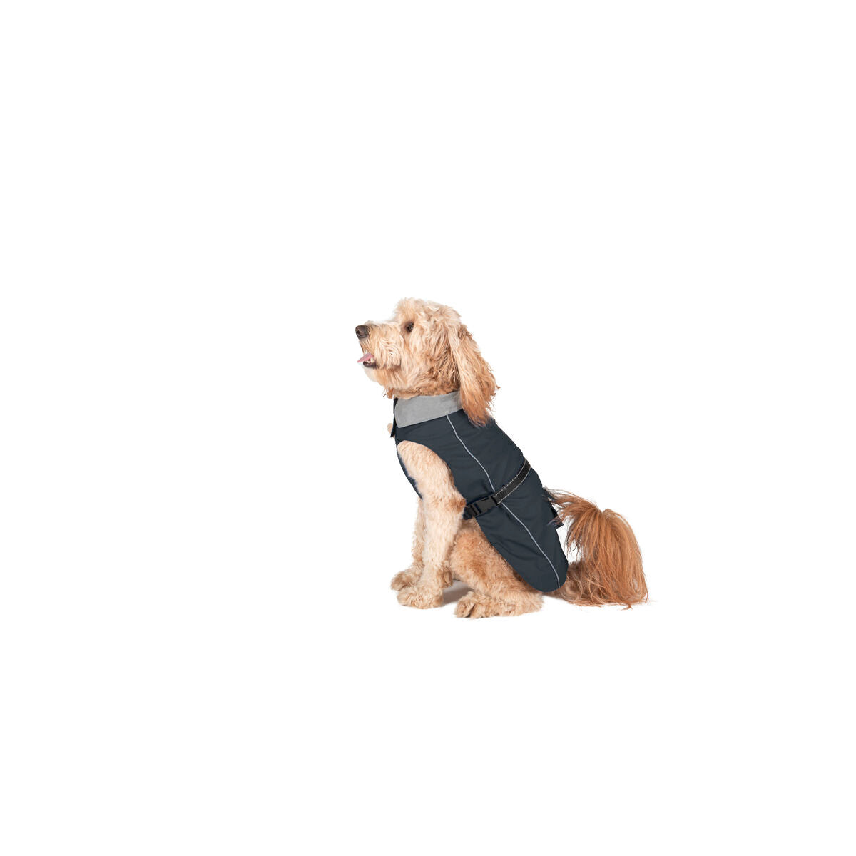 Dog Gone Smart Regenmantel Für Hunde Dog Gone Smart Schwarz 50 Cm