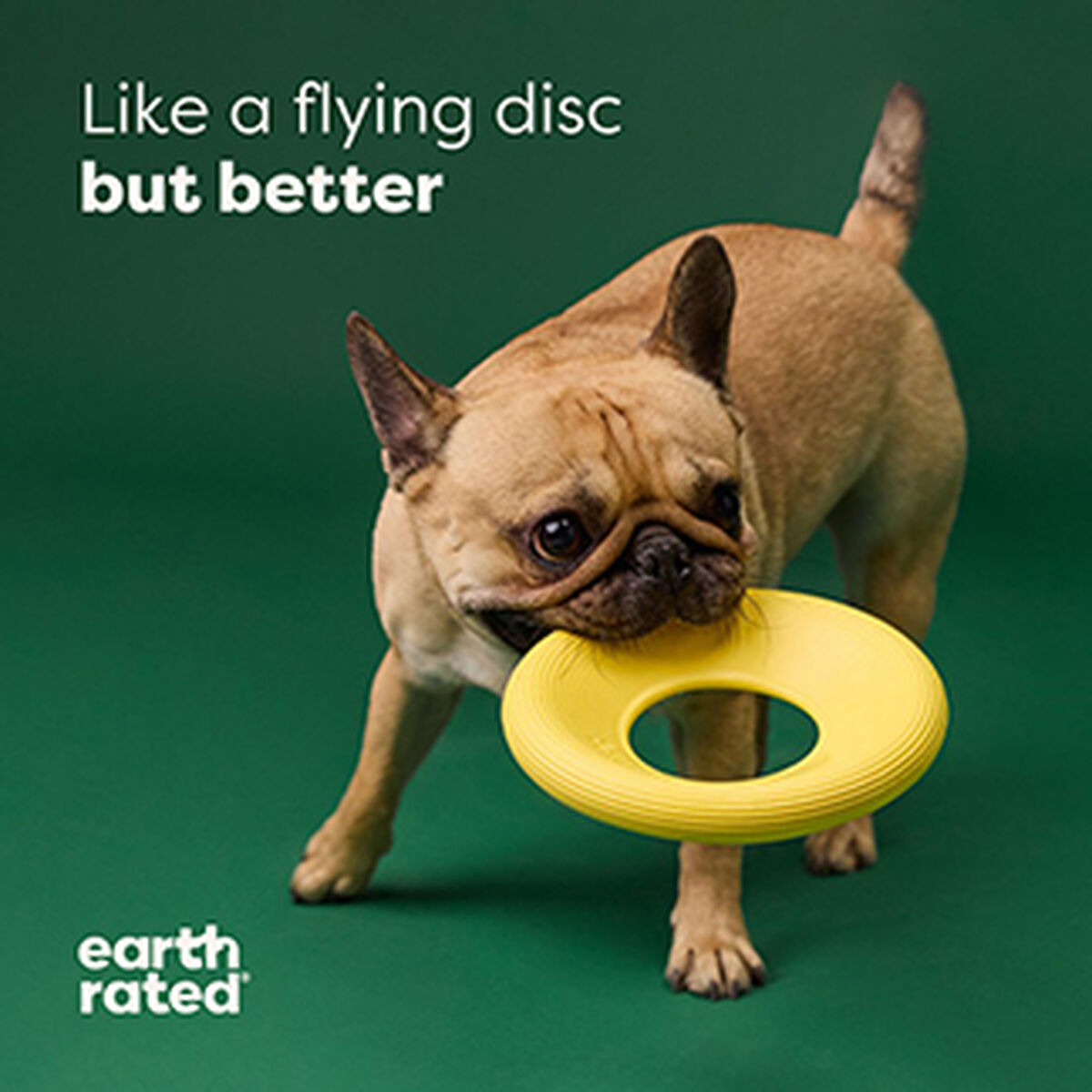 Earth Rated Hundespielzeug Earth Rated