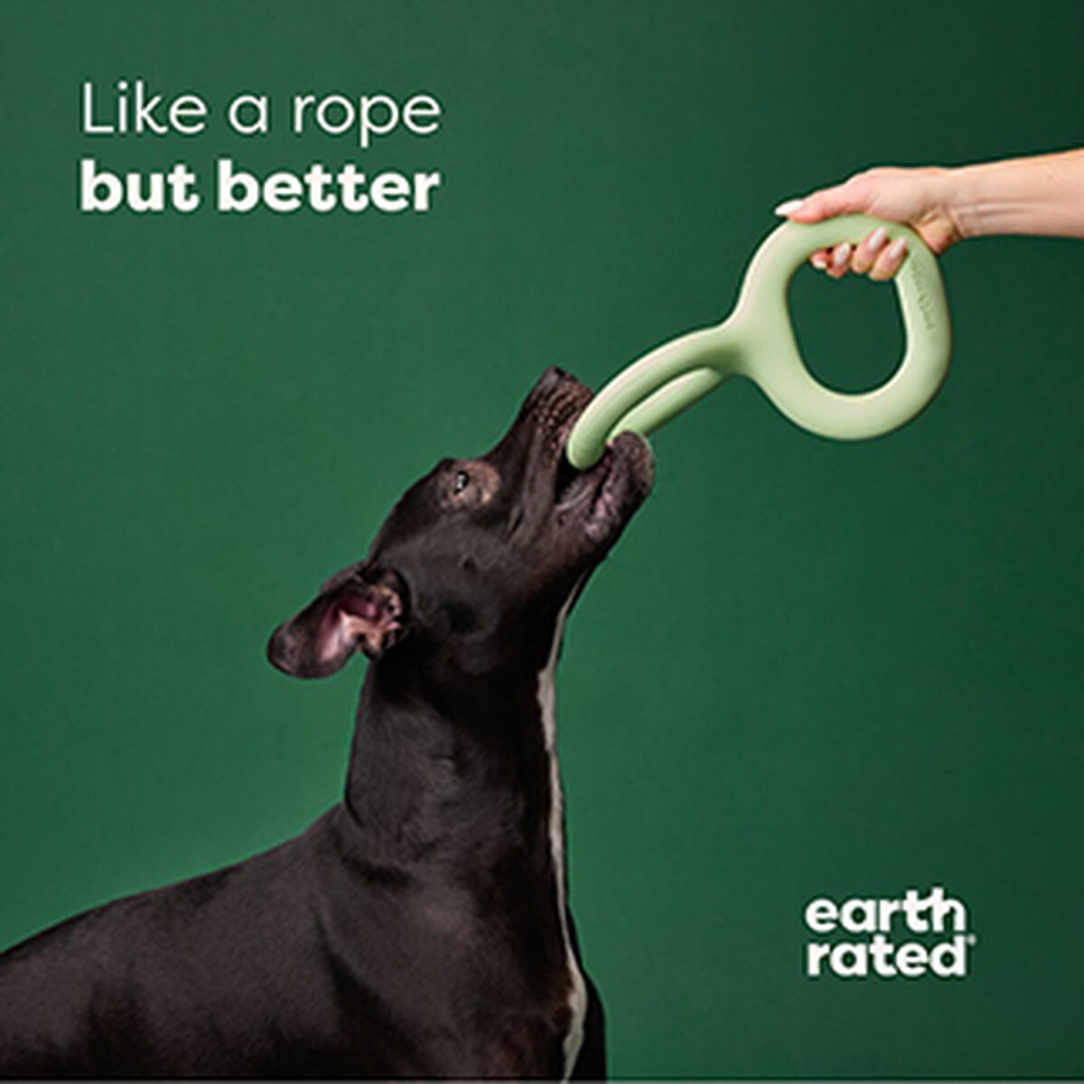 Earth Rated Hundespielzeug Earth Rated
