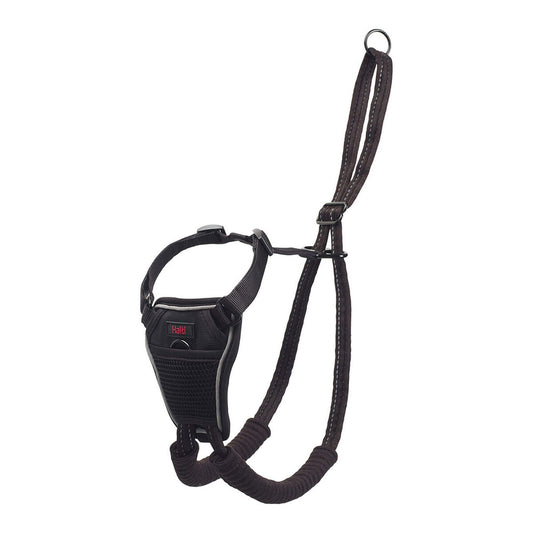 Company Of Animals Hundegeschirr Company Of Animals Halti M (34-56 Cm)