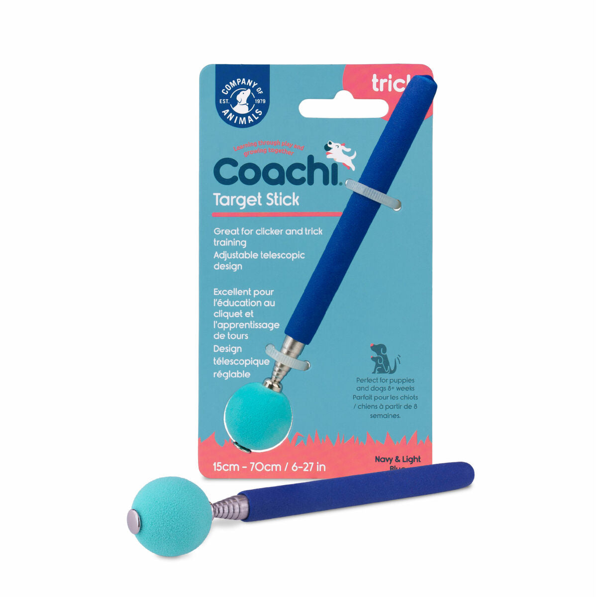 Coachi Trainingsspielzeug Coachi Stick Blau