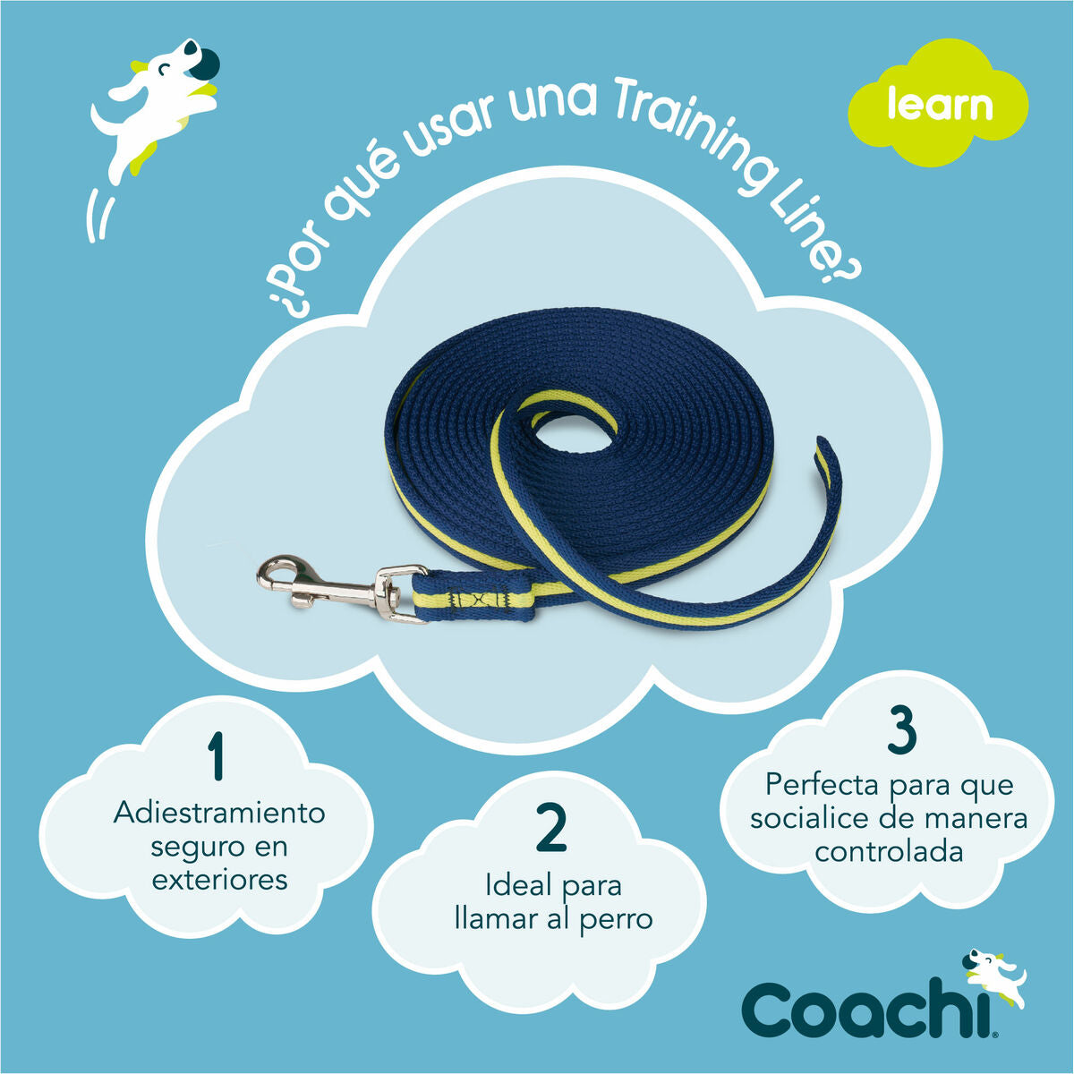 Coachi Hundeleine Coachi Blau Ausbildung