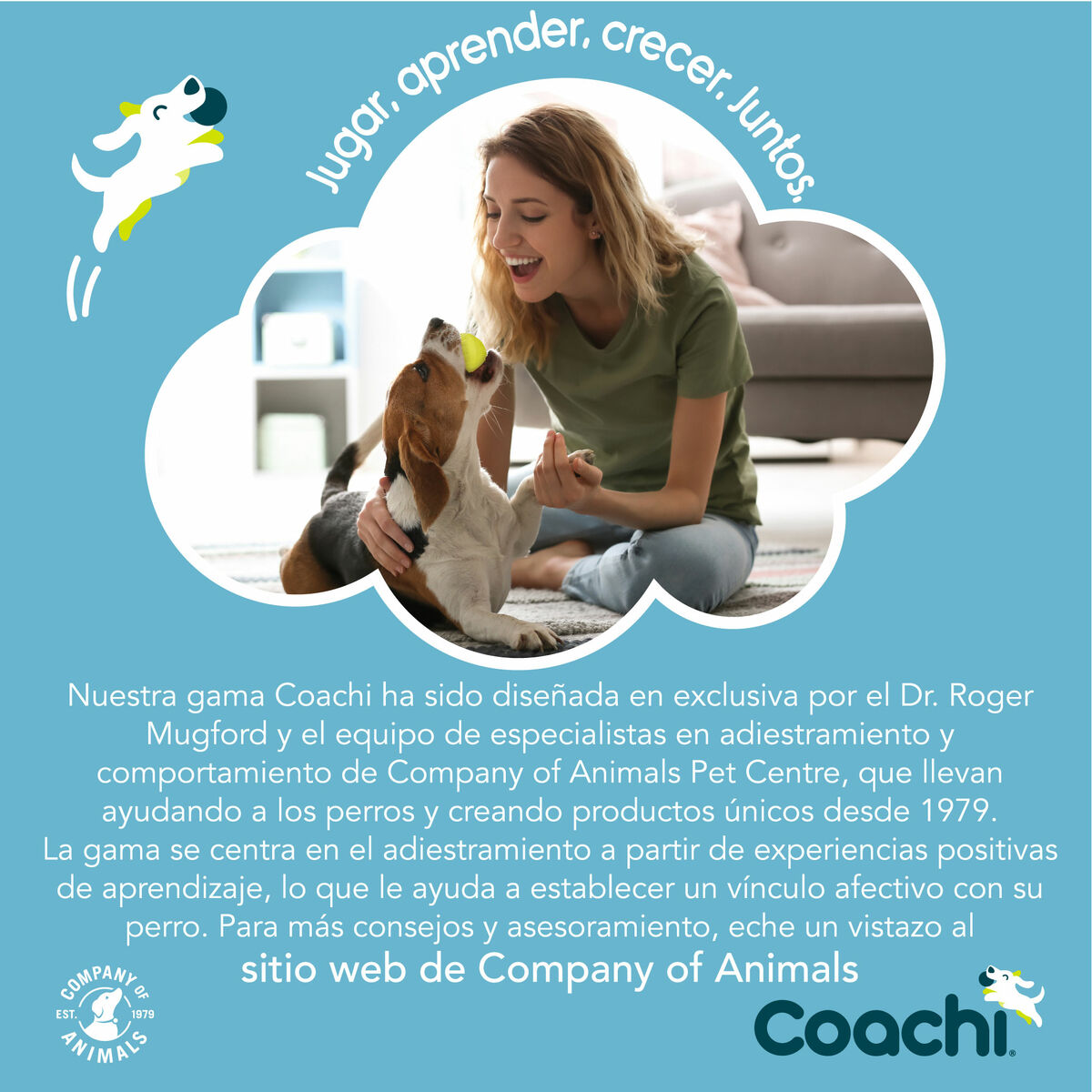 Coachi Hundeleine Coachi Blau Ausbildung
