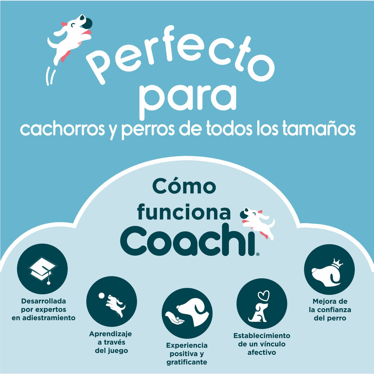 Coachi Allzwecktasche Coachi Train & Treat Blau