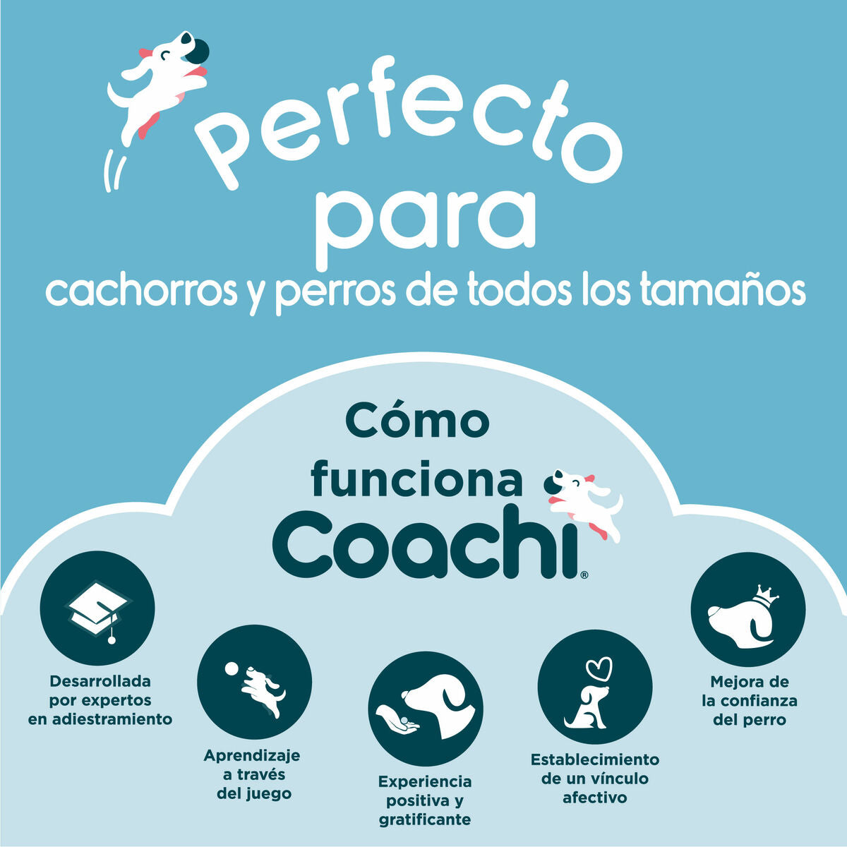 Coachi Allzwecktasche Coachi Train & Treat Koralle
