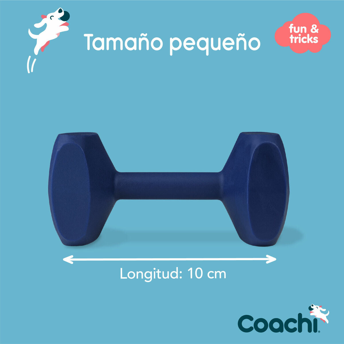 Coachi Hantel Coachi Training Dumbbell Blau