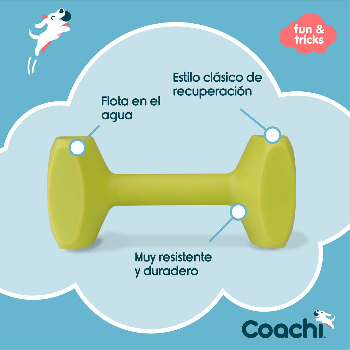 Coachi Hantel Coachi Training Dumbbell 12 Kunststoff