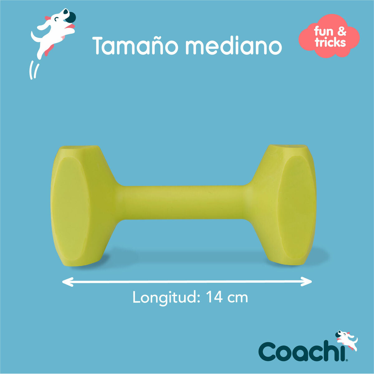 Coachi Hantel Coachi Training Dumbbell 12 Kunststoff