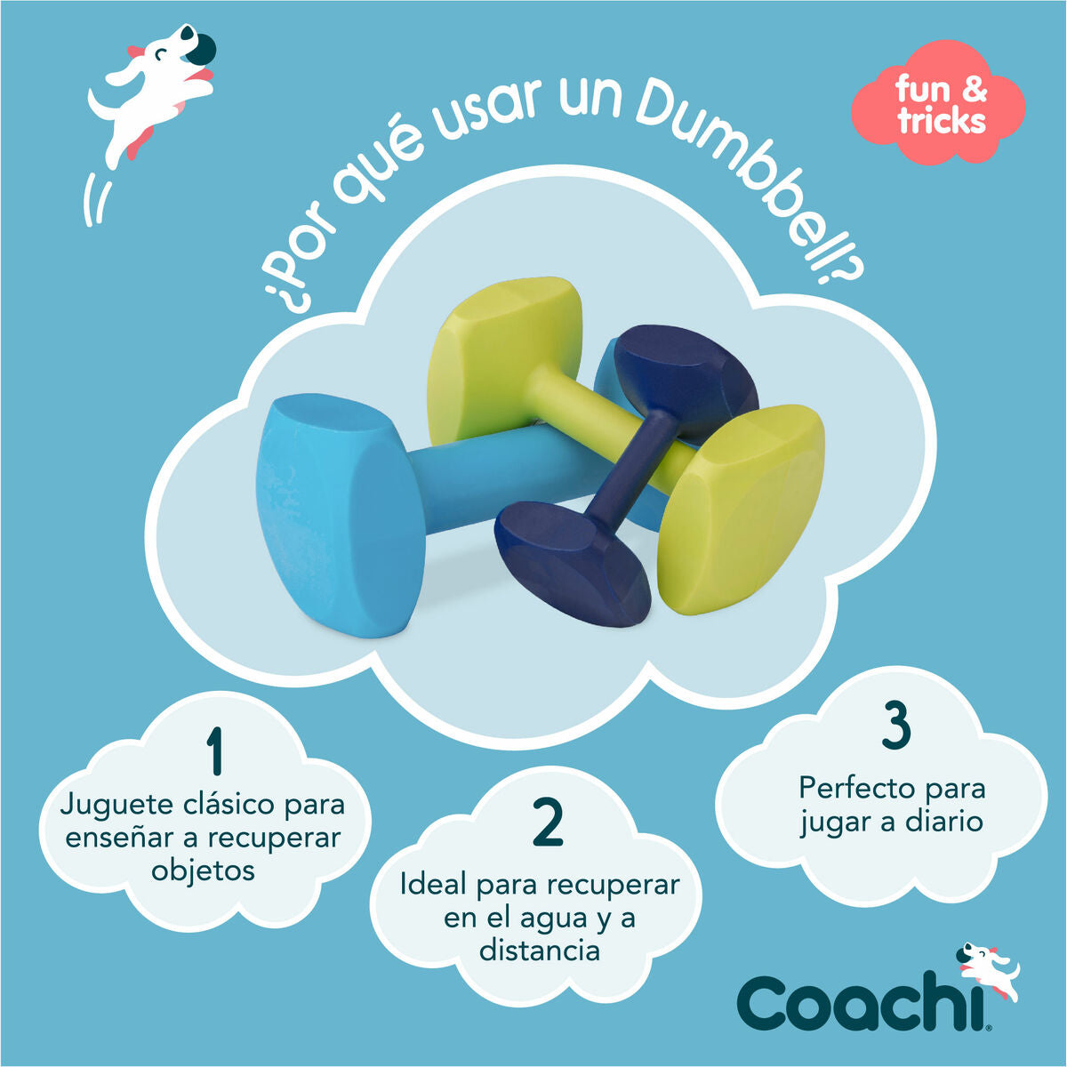 Coachi Hantel Coachi Training Dumbbell Blau L Kunststoff