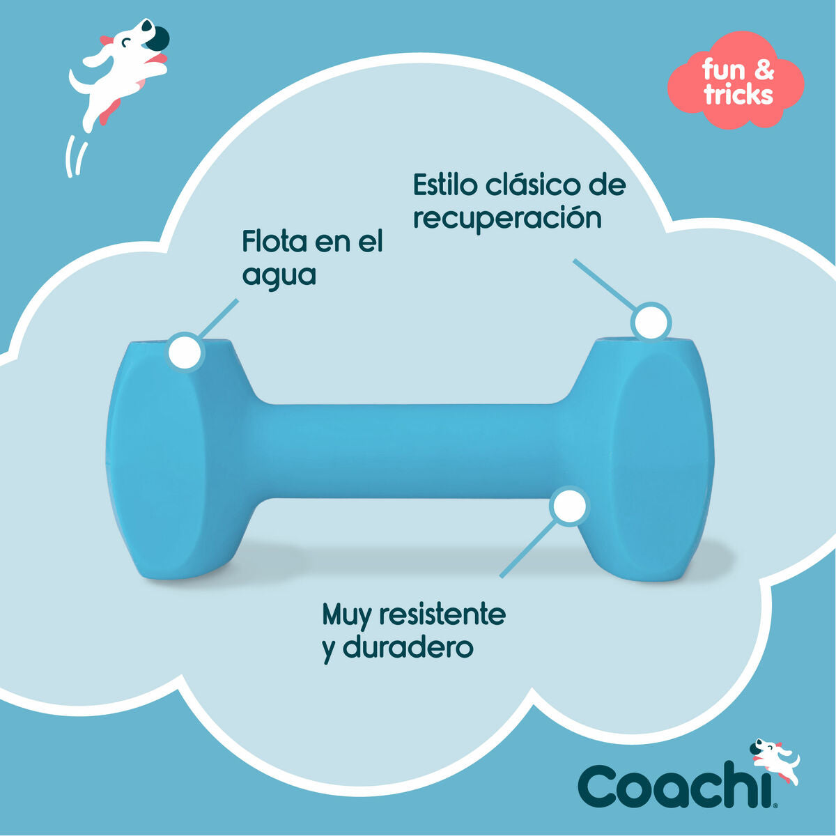 Coachi Hantel Coachi Training Dumbbell Blau L Kunststoff
