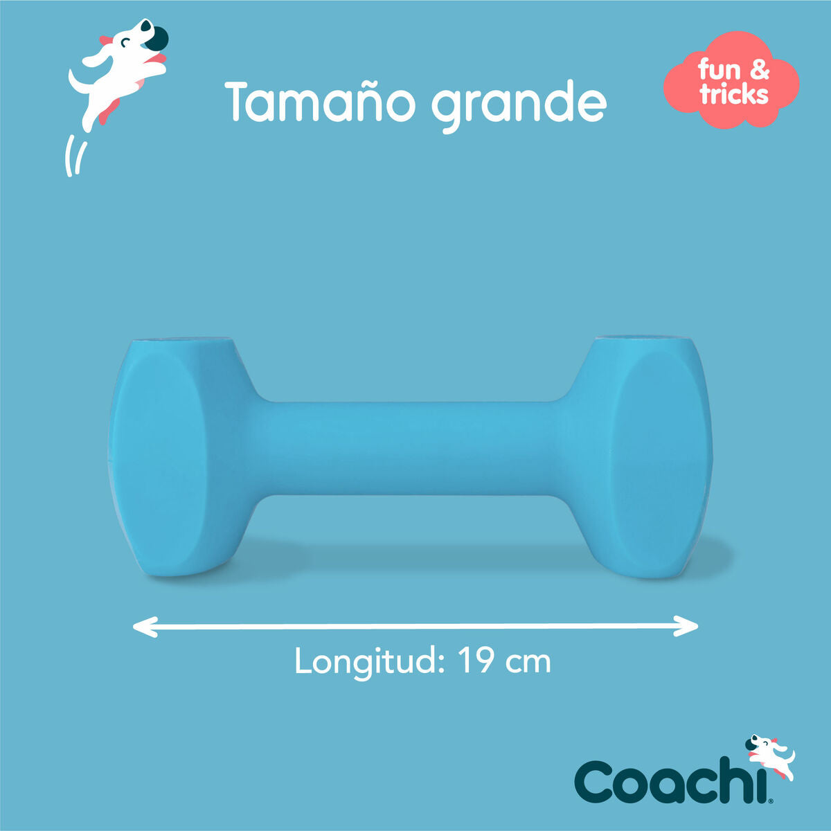 Coachi Hantel Coachi Training Dumbbell Blau L Kunststoff