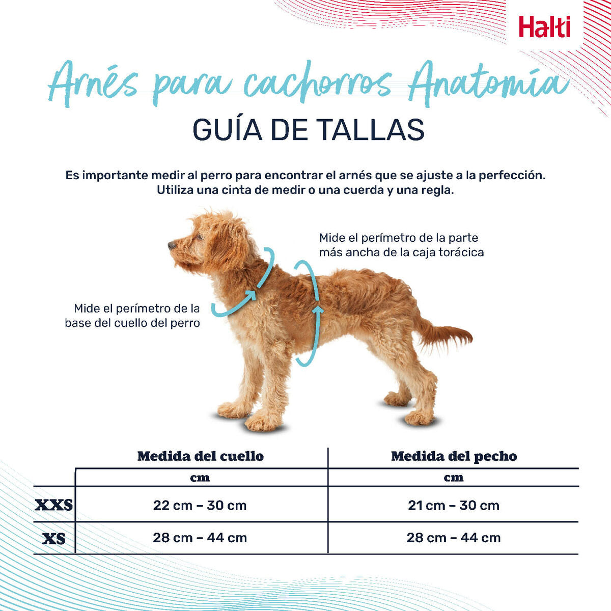 Company Of Animals Hundegeschirr Company Of Animals Grau Xs 28-44 Cm