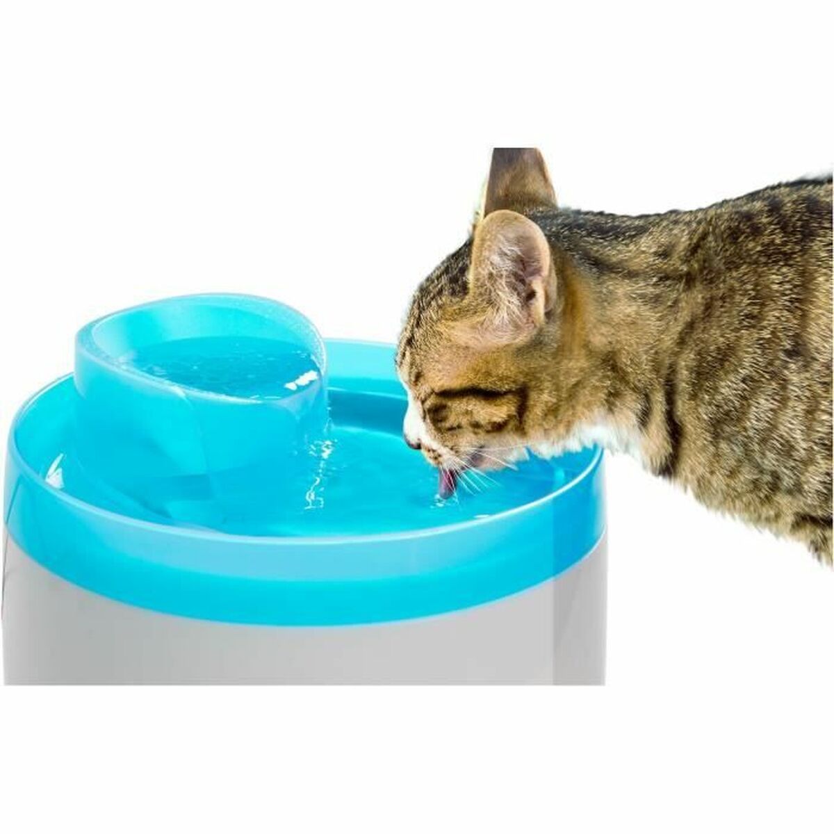 Zolux Trinkbrunnen Für Haustiere Zolux