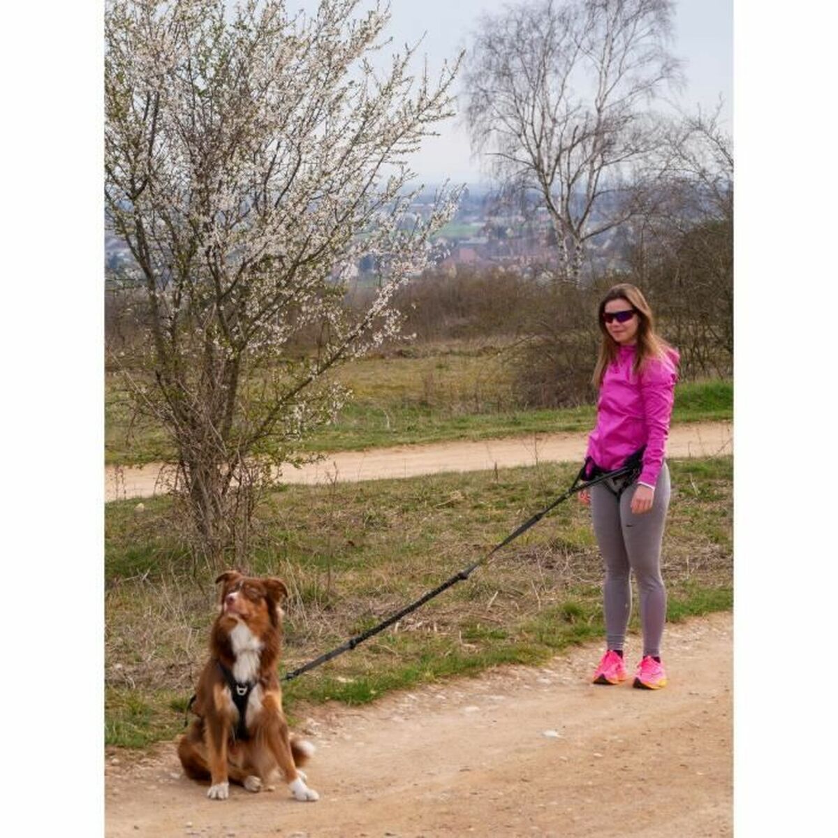 Symbioz Hundegeschirr Symbioz Schwarz M