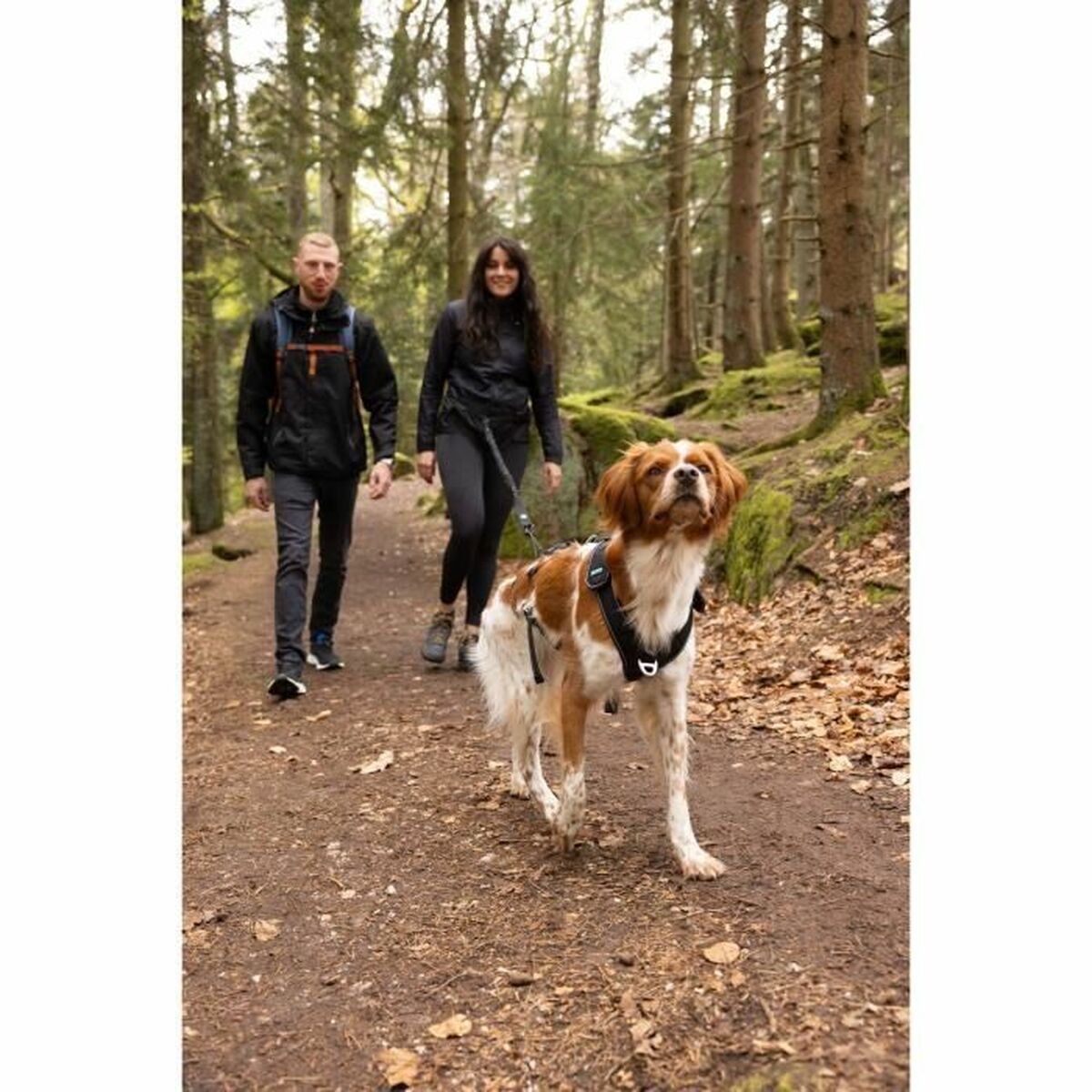 Symbioz Hundegeschirr Symbioz Schwarz Xs