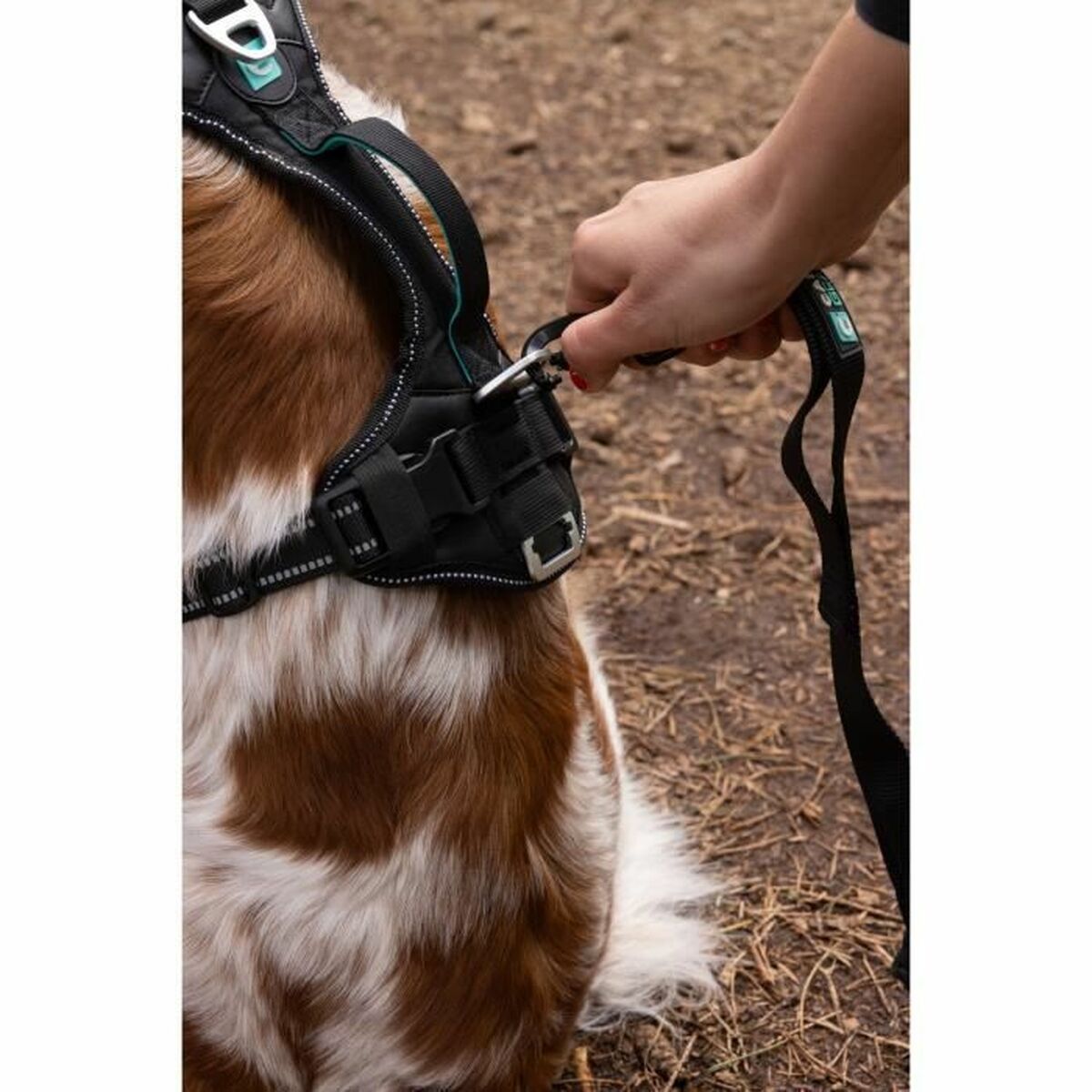 Symbioz Hundegeschirr Symbioz Schwarz Xxs
