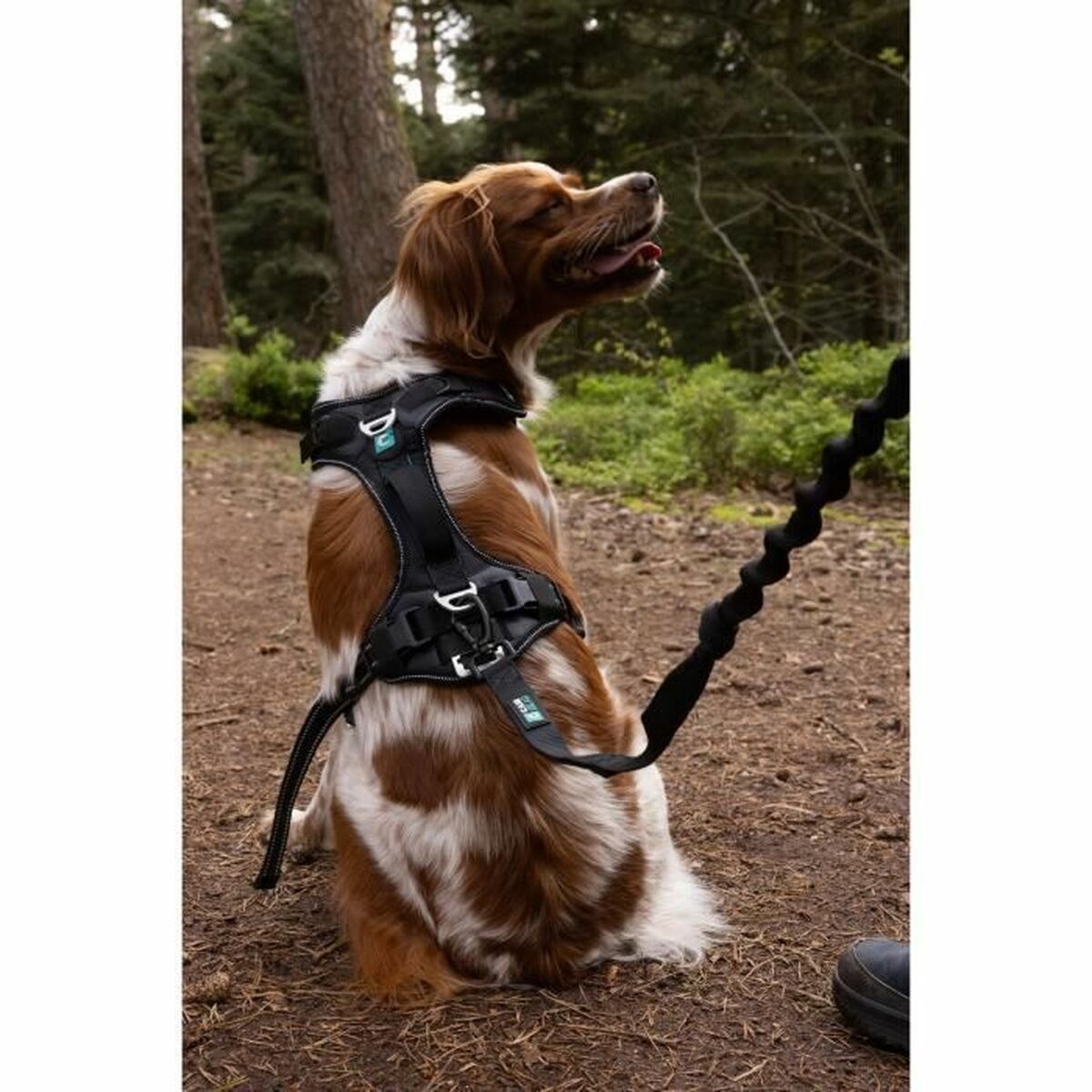 Symbioz Hundegeschirr Symbioz Schwarz Xxs