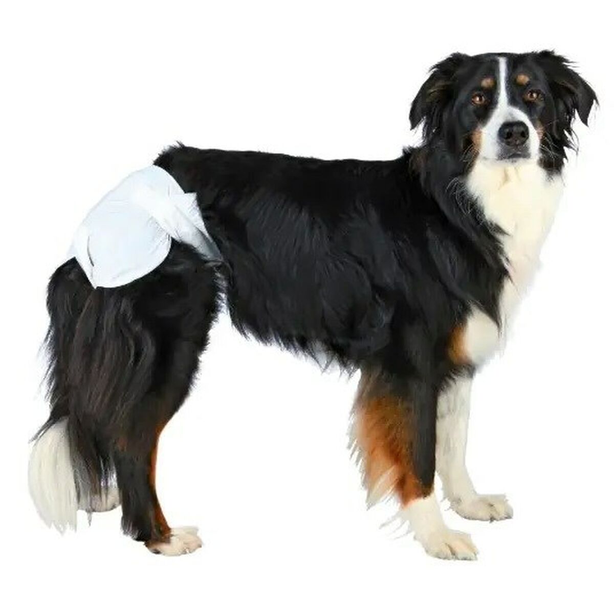 Trixie Windeln Trixie 23634 Hund M/L