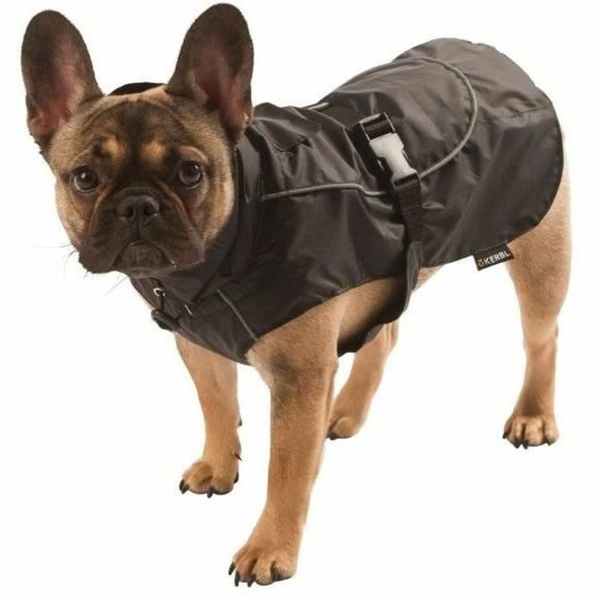 Kerbl Regenmantel Für Hunde Kerbl Schwarz 50 Cm Xl