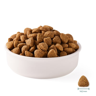 Yarrah Dog Organic Chunks Vega Baobab / Kokosnussöl