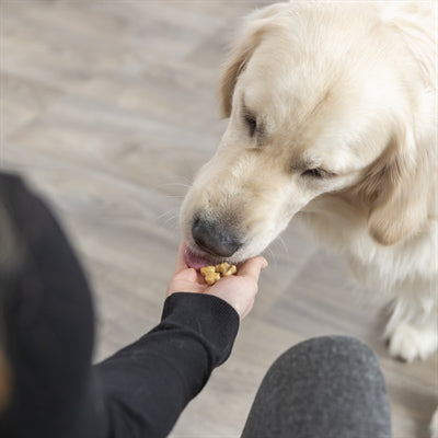 Trixie Backmatte Mit Knochen Für Hund Silikon