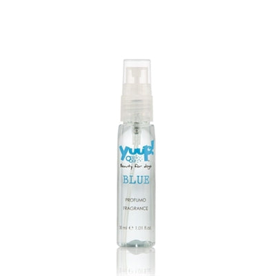 Yuup! Blaues Parfum