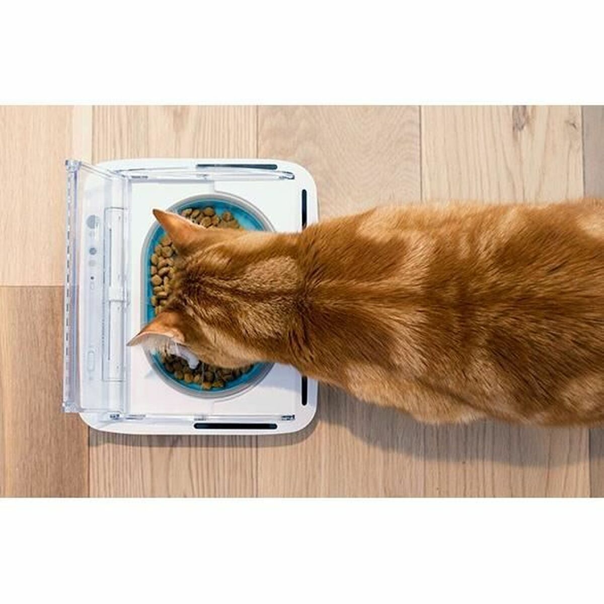 Sureflap Automatische Zuführung Sureflap Surefeed 400 Ml Batterien X 2