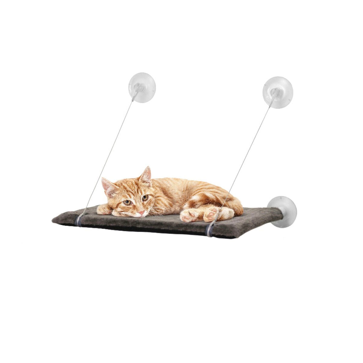 United Pets Katzenbett United Pets