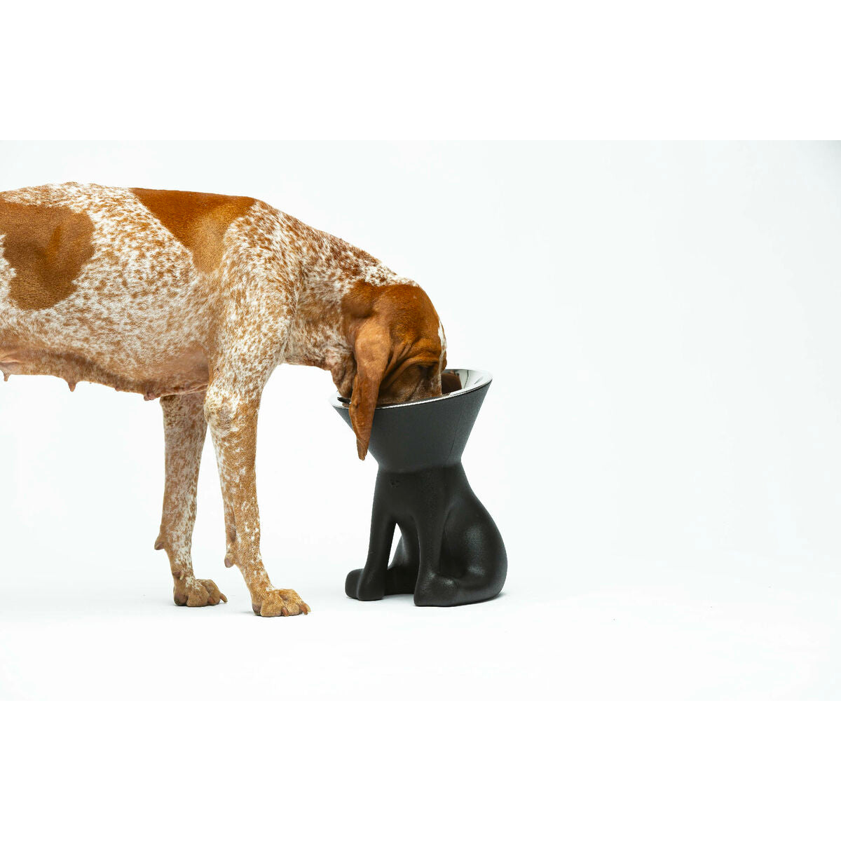 United Pets Futternapf Für Hunde United Pets Up Elisabeth Schwarz Edelstahl Polyäthylen 1 L