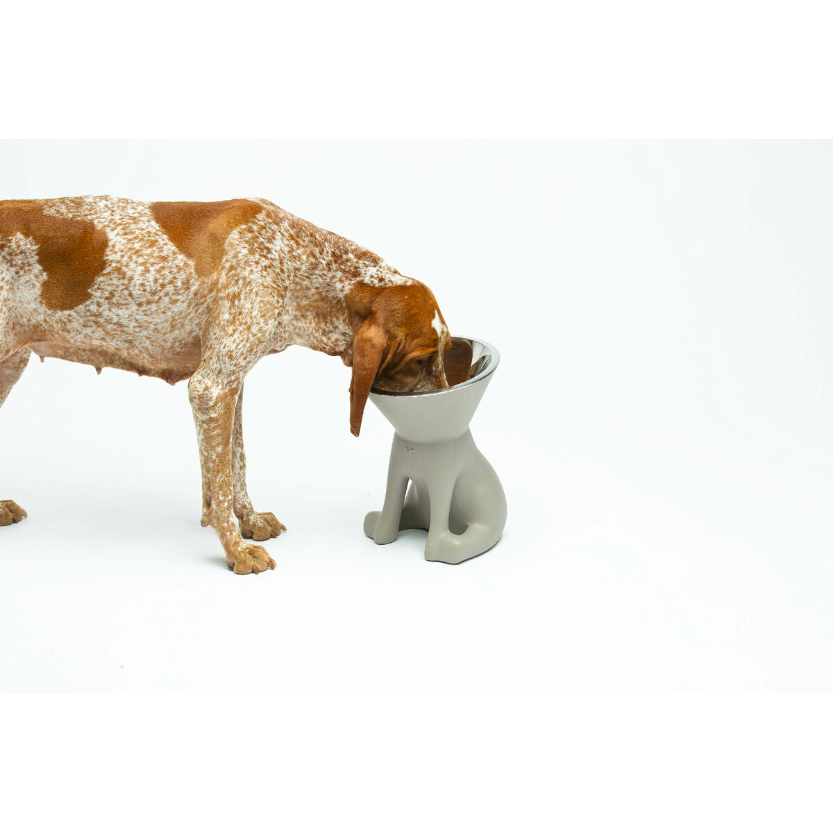 United Pets Futternapf Für Hunde United Pets Up Elisabeth Grau Edelstahl Polyäthylen 1 L