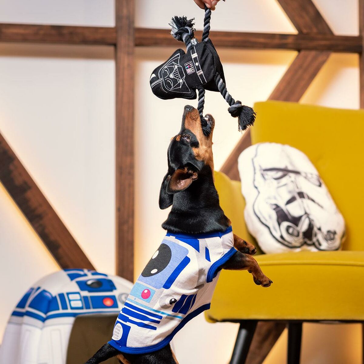 Star Wars Hundespielzeug Star Wars Schwarz