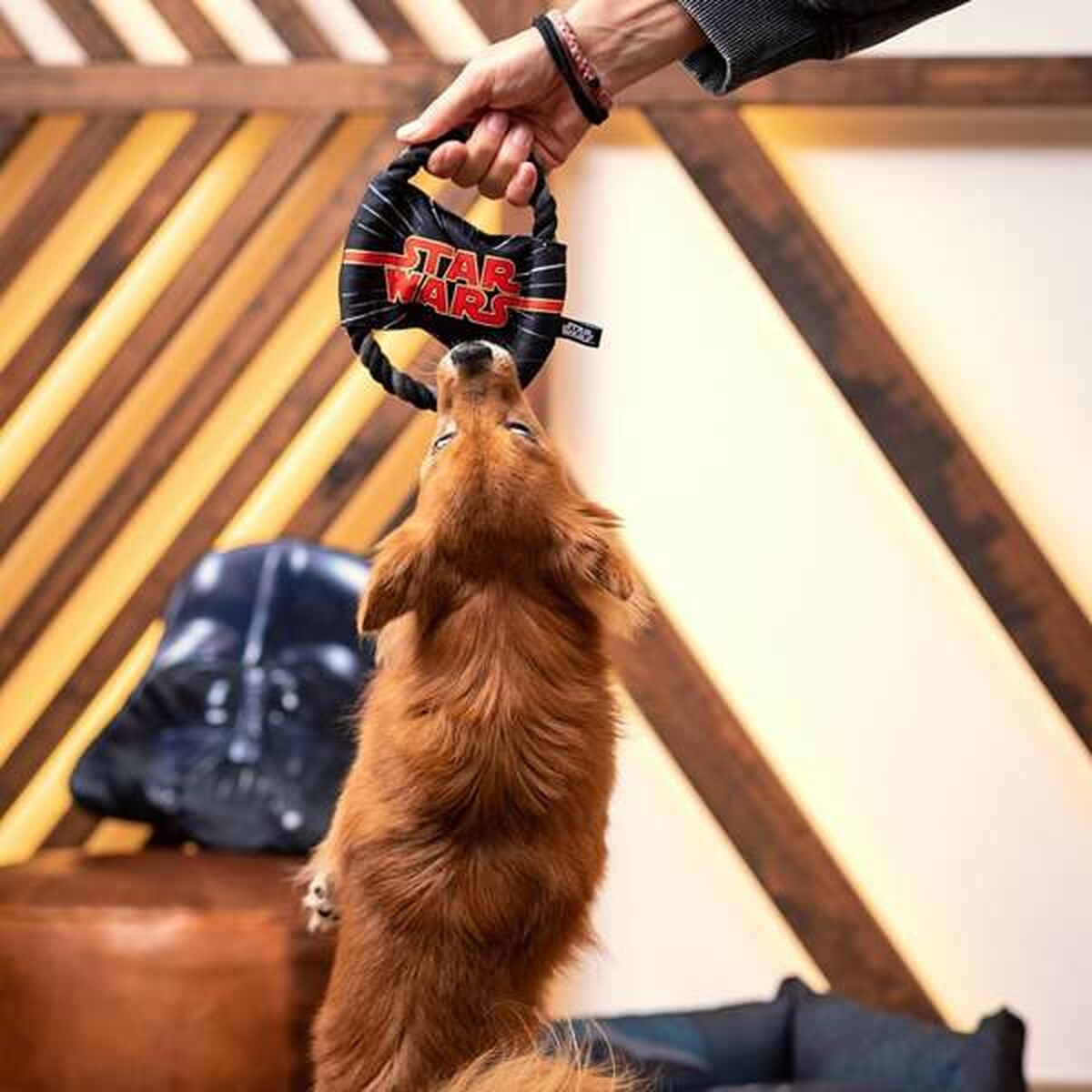 Star Wars Hundespielzeug Star Wars