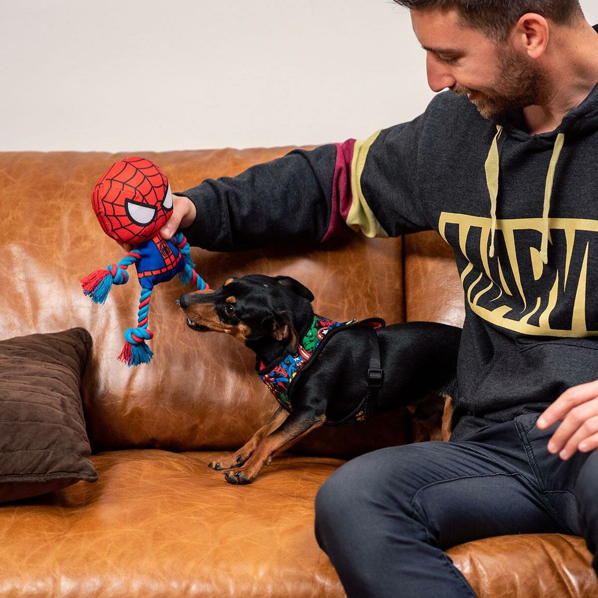 Spider-Man Hundespielzeug Spider-Man Rot