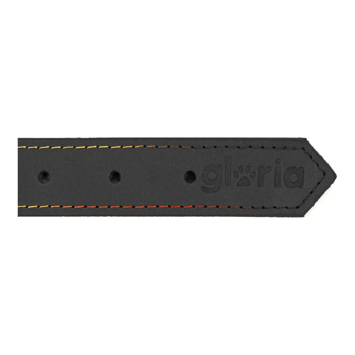 Gloria Hundehalsband Gloria Oasis Schwarz 35 Cm (1,2 X 35 Cm)