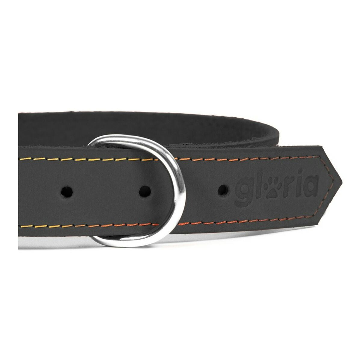 Gloria Hundehalsband Gloria Oasis Schwarz 35 Cm (1,2 X 35 Cm)