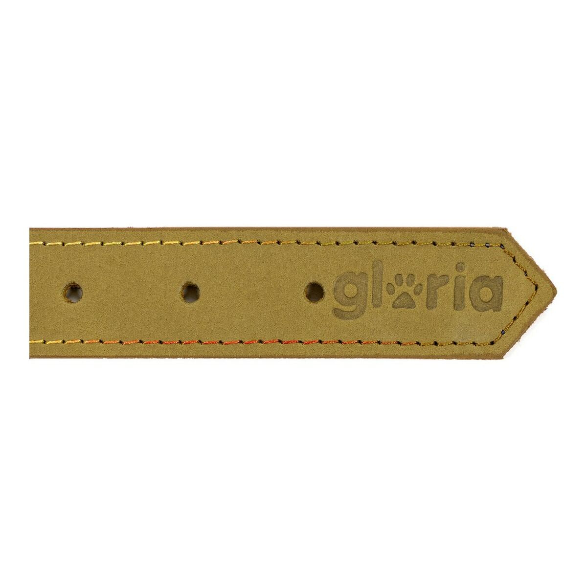 Gloria Hundehalsband Gloria Oasis 50 Cm Grün (50 X 2,1 Cm)