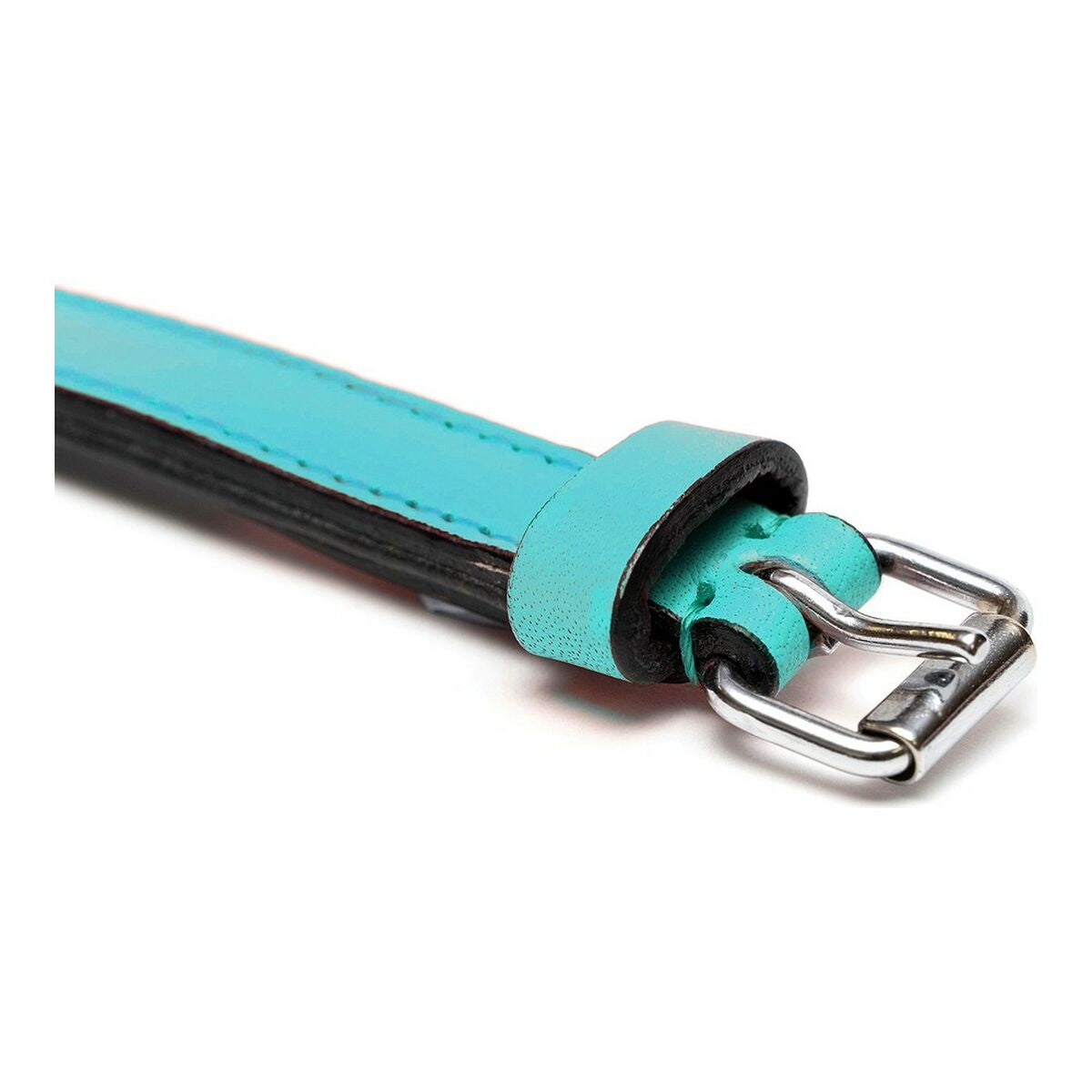 Gloria Hundehalsband Gloria Polsterung Turquoise 30 Cm (30 X 1,5 Cm)