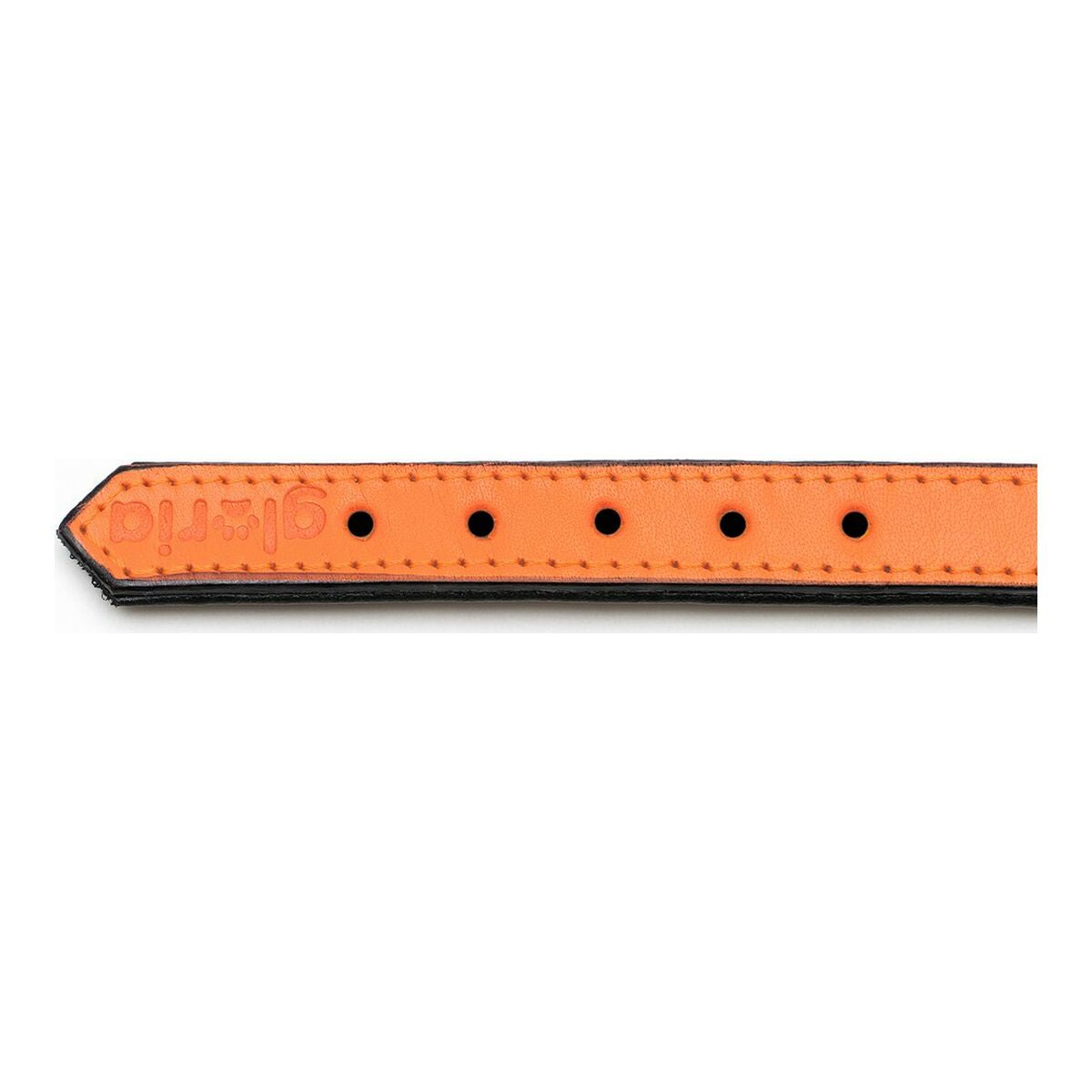 Gloria Hundehalsband Gloria Polsterung Orange 40 Cm (40 X 2 Cm)