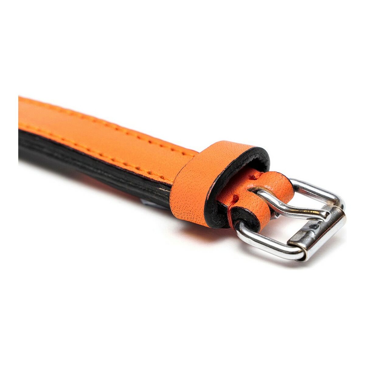 Gloria Hundehalsband Gloria Polsterung Orange 40 Cm (40 X 2 Cm)