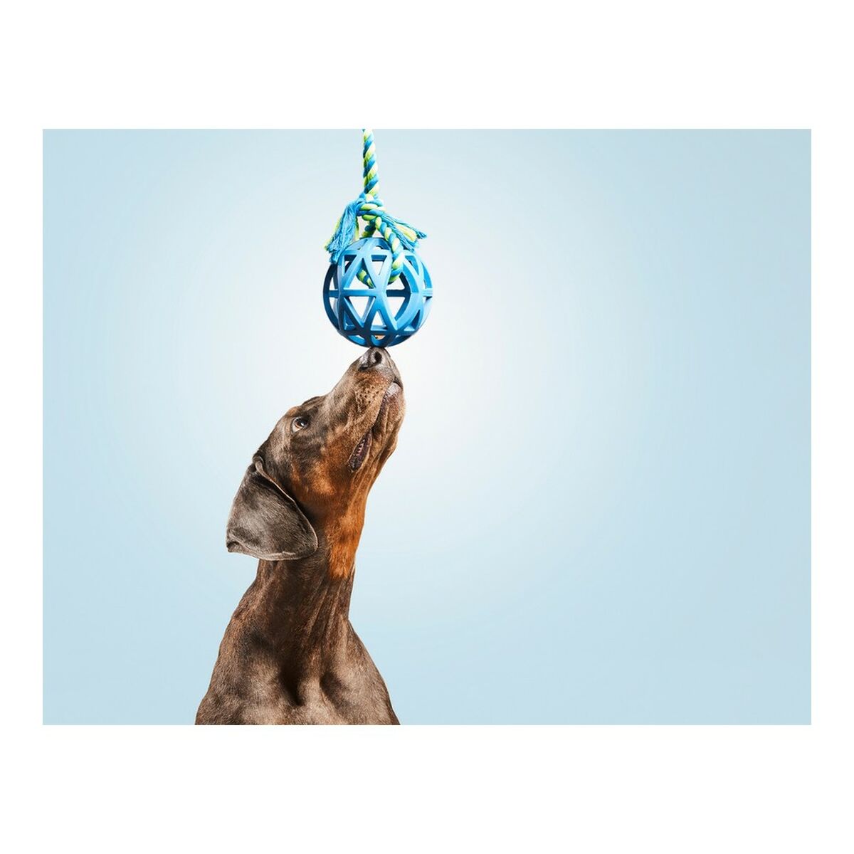 Gloria Beißring Für Hunde Gloria Raster Bunt 9 Cm (9 X 30 Cm)