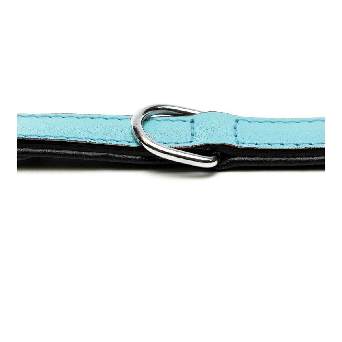 Gloria Hundehalsband Gloria Polsterung Blau 50 Cm (50 X 2,5 Cm)