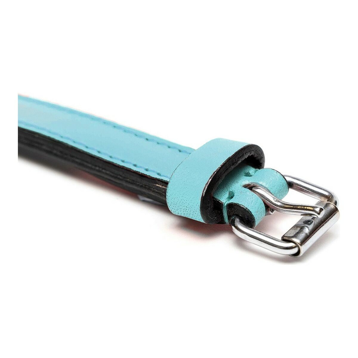 Gloria Hundehalsband Gloria Polsterung Blau 50 Cm (50 X 2,5 Cm)
