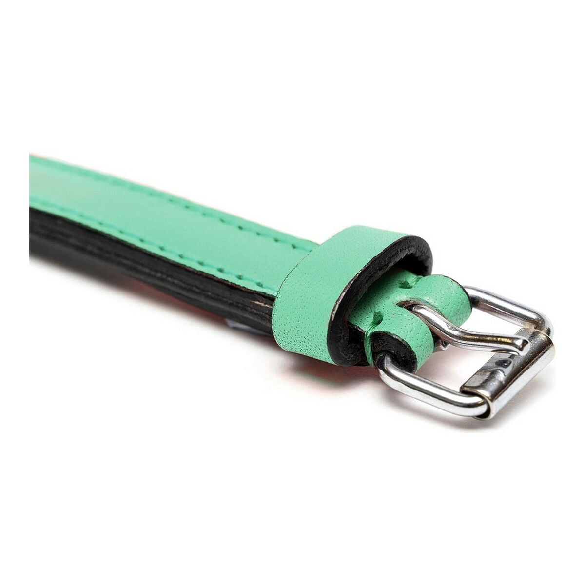 Gloria Hundehalsband Gloria Polsterung Grün 30 Cm (30 X 1,5 Cm)
